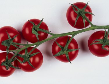 Ripe tomatoes on vine