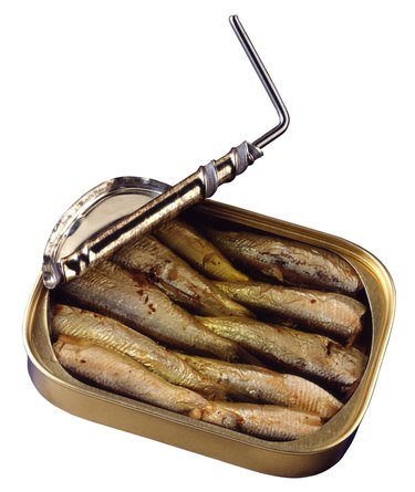 Sardines in tin can