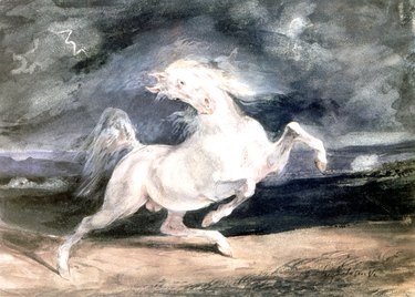 'White horse' by Eugene Delacroix