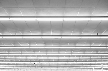 Fluorescent lights on ceiling, low angle view