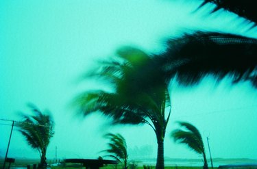 Storm damage,Phuket Island