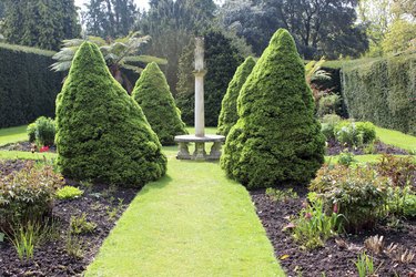 Image of formal garden with topiary trees, shrubs and sundial