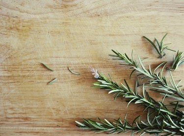 Food image : Rosemary