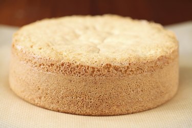 Biscuit Sponge Cake