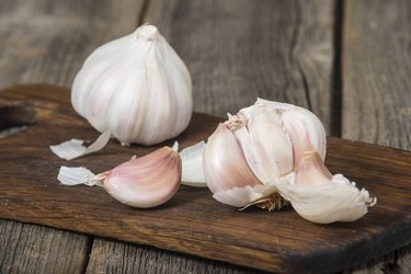 Garlic