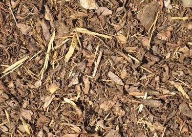 Bark mulch