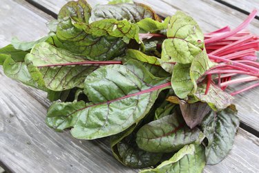 Swiss Chard