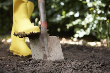 Person digging in garden