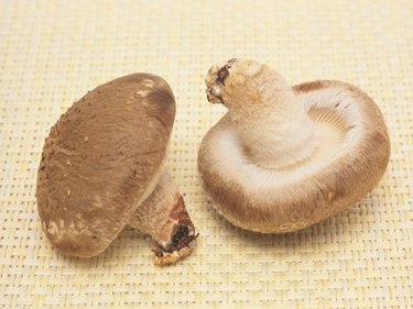 Shiitake mushrooms