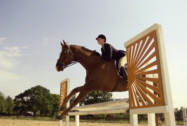 Side profile of a jockey on a horse jumping over a hurdle