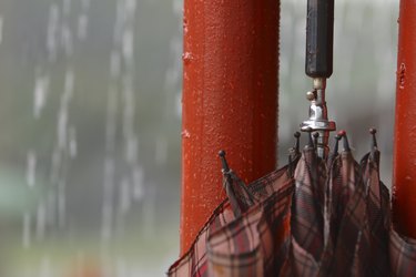 Umbrella and rain