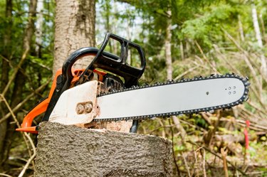 Chainsaw on tree stump