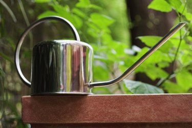 Metal watering can