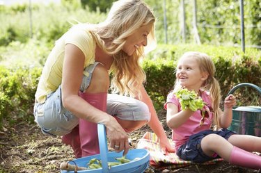 Mother And Daughter Kneeling Down Harvesting Radish On Allotment