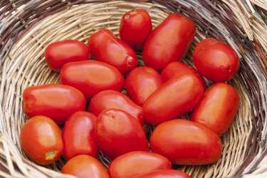 Basket of red tomatoes called San Marzano freshly picked