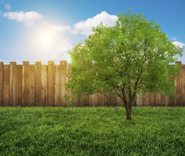 garden fence