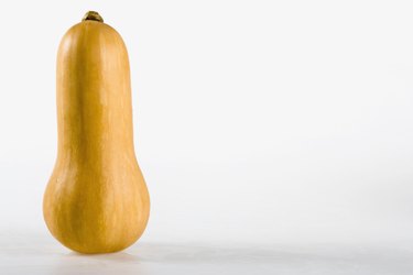 Butternut squash