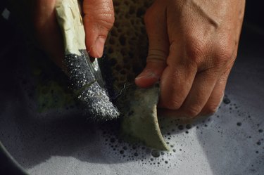 Can Toxic Black Mold Grow On Food? Find Out Here!