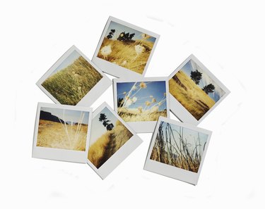 Polaroid images of landscapes