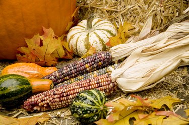 Indian corn, gourds, and pumpkins