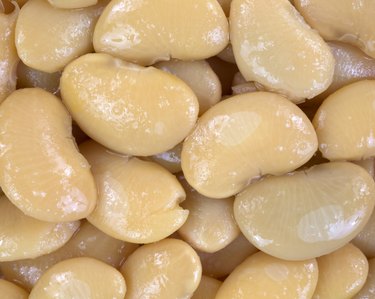 Close view butter beans