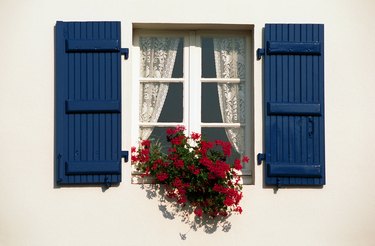 Window with shutters and flowers