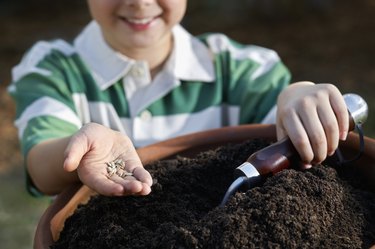 Boy Holding a Handful of Seeds