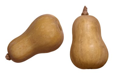 Butternut squash