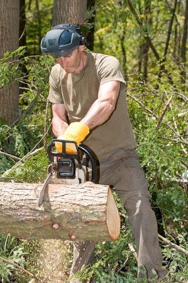 What do STIHL Chainsaw model numbers mean?