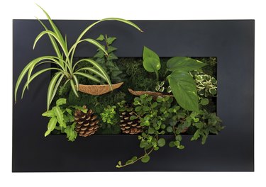 Contemporary wall planter