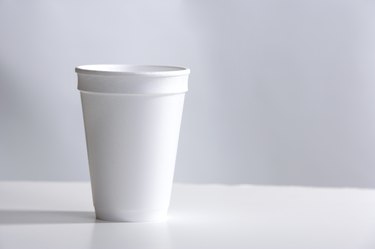 Are Styrofoam Cups Biodegradable