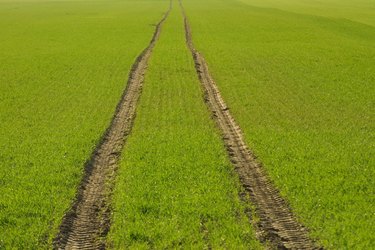 Muddy tire tracks in field