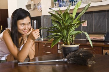 Woman looking at plant at home