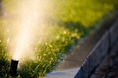 Close-up of sprinkler spraying lawn by curb