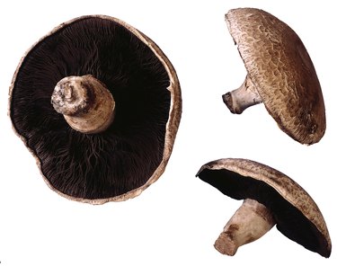 Portobello mushrooms