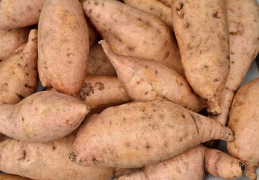 Sweet Potato