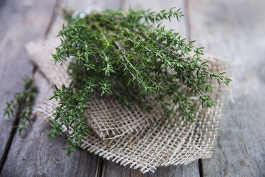 Thyme , Selective focus