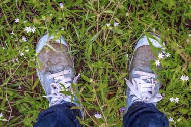 How to Clean Mud Off Shoes and Boots