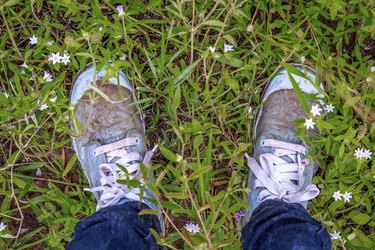 How to clean mud off best sale white vans