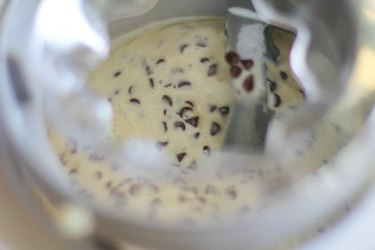 Mint chocolate chip ice cream in an ice cream maker