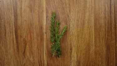 Fresh rosemary sprigs for Christmas wreath gift tags.