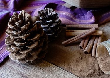DIY cinnamon-scented pinecones.
