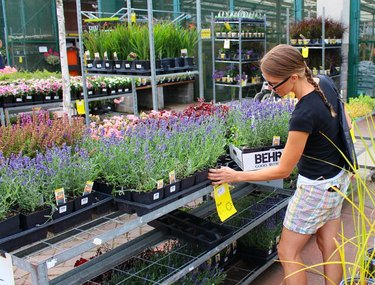 Woman shopping for flowers at nursery