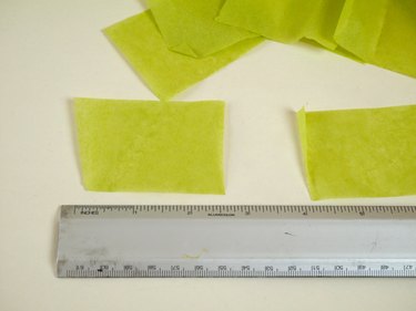 A ruler showing the measurements of a piece of tissue.