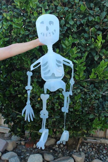 Milk jug skeleton all put together.