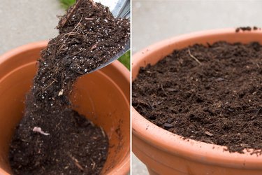 Adding potting soil