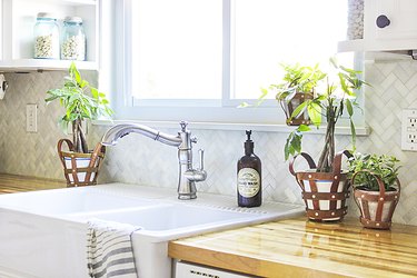 Plant holders next to kitchen sink