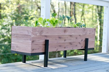 How to build and grow a salad garden on your balcony.