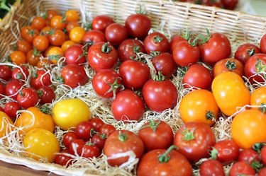 Choosing tomatoes