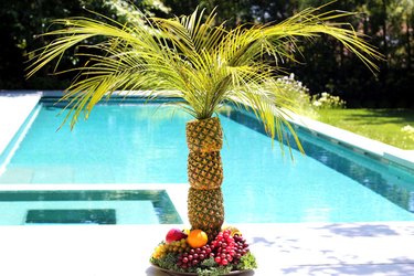 pineapple palm tree